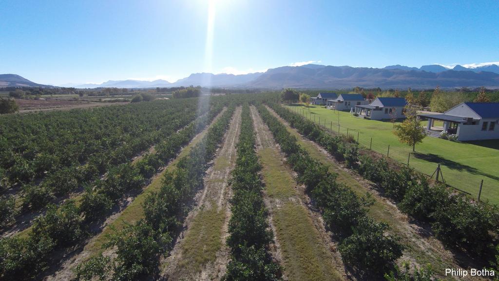 Paddabult Self Catering Cottages Paarl Eksteriør bilde