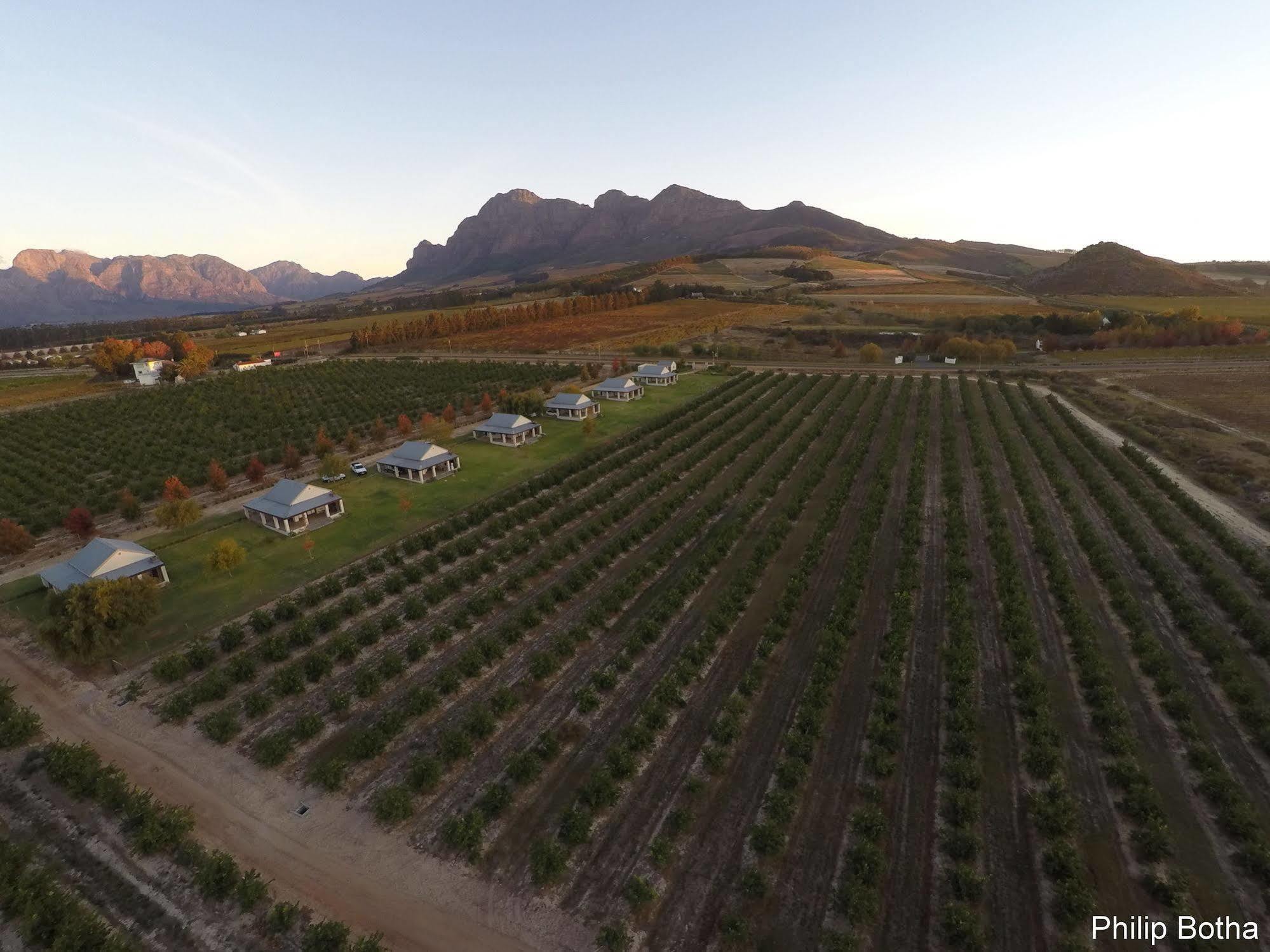Paddabult Self Catering Cottages Paarl Eksteriør bilde